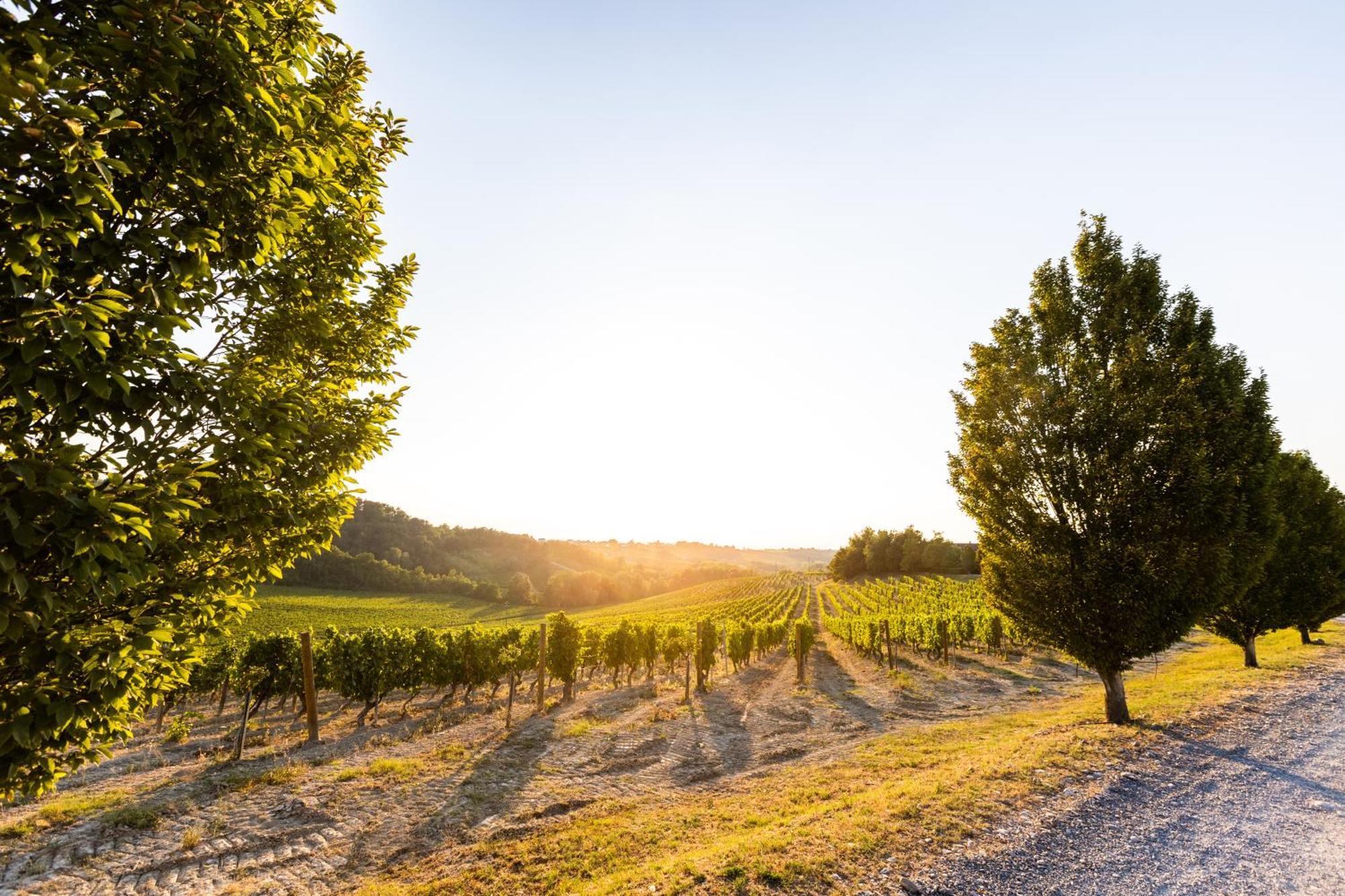 Tenuta La Meirana Gavi Exterior foto