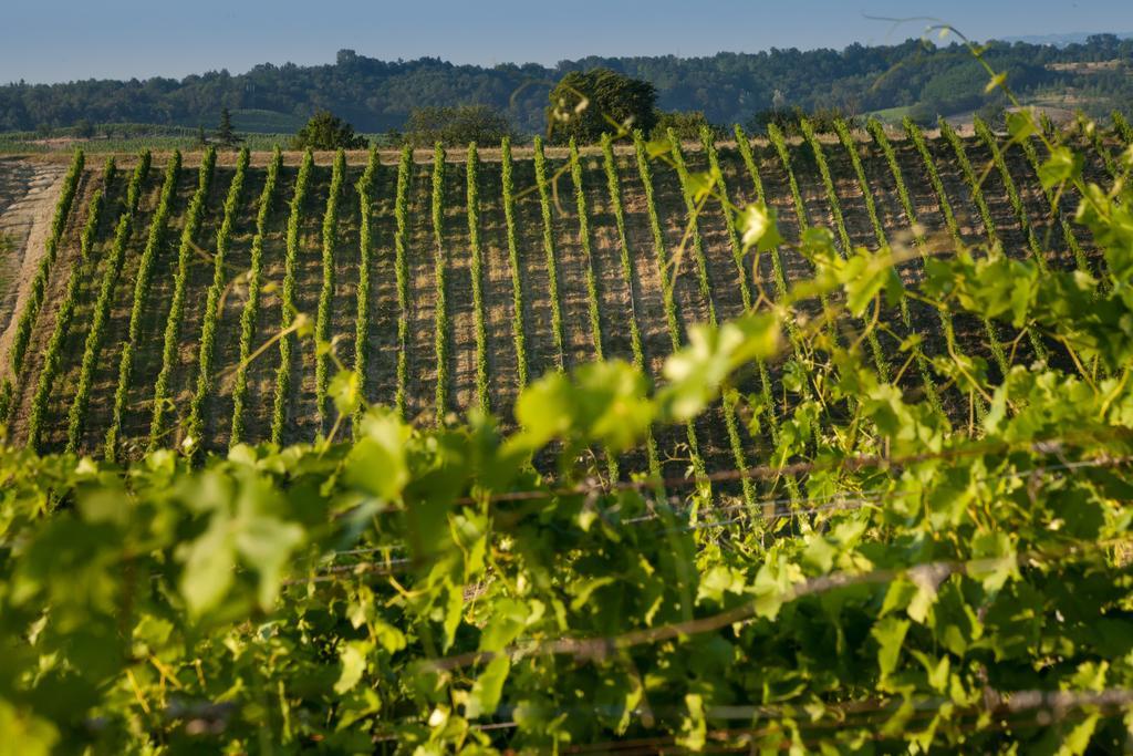 Tenuta La Meirana Gavi Exterior foto